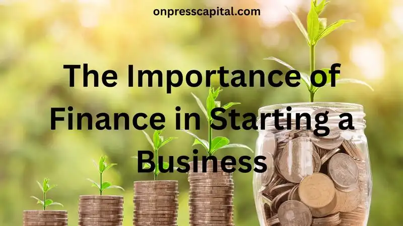 Beagle Financial Services